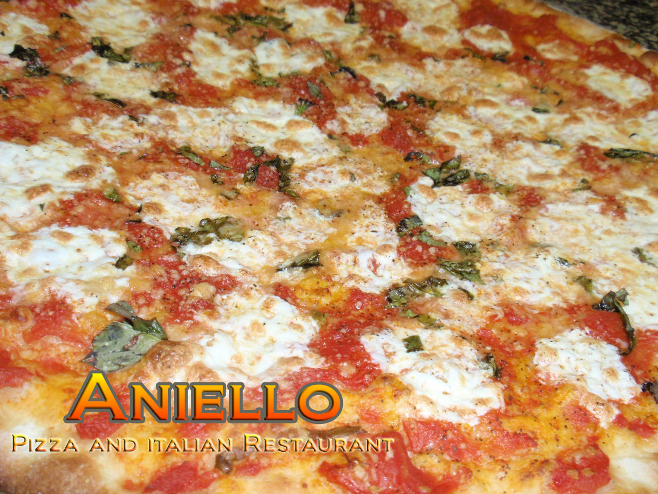 Aniello Margherita Pizza